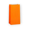 Picture of PAPER PARTY BAGS ORANGE - 12 PACK
